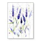 Papetri nyomat, falikép - A5 - A4 - Veronika