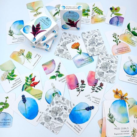 papetri-memoria-kartya-gyogynovenyekkel