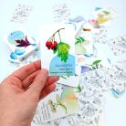 papetri-memoria-kartya-gyogynovenyekkel