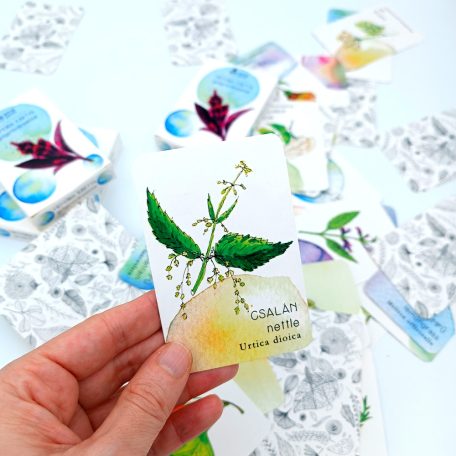 papetri-memoria-kartya-gyogynovenyekkel