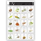 PAPETRI fűszercímke 03