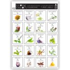 PAPETRI fűszercímke 02