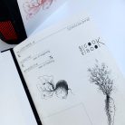 Papetri angol - magyar nyelvű kitölthető szakácskönyv - fehér borítóval