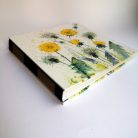 papetri-rajzkonyv-fotoalbum-kezzel-keszult-pitypang