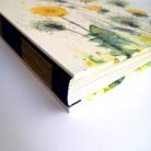 papetri-rajzkonyv-fotoalbum-kezzel-keszult-pitypang