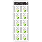 PAPETRI befőző címke - bodza