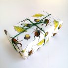 PAPETRI mini díszcsomagoló - szarvasbogár - 45 x 32 cm