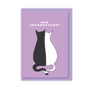 Papetri borítékos képeslap - sok boldogságot - cica pár