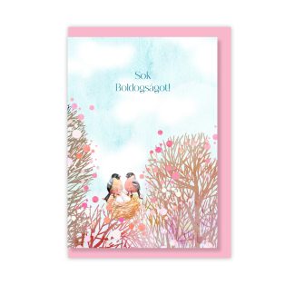   Papetri borítékos képeslap - sok boldogságot pinty párral