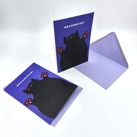 Papetri borítékos képeslap - boldogság - testes cica