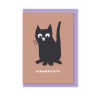 Papetri borítékos képeslap - köszönet - ülő cica