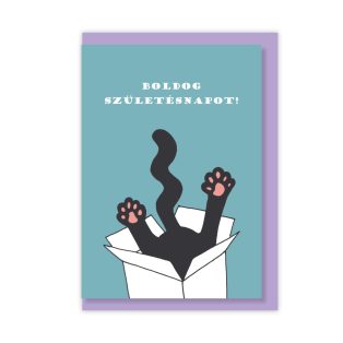 Papetri borítékos képeslap - szülinap - dobozos cica