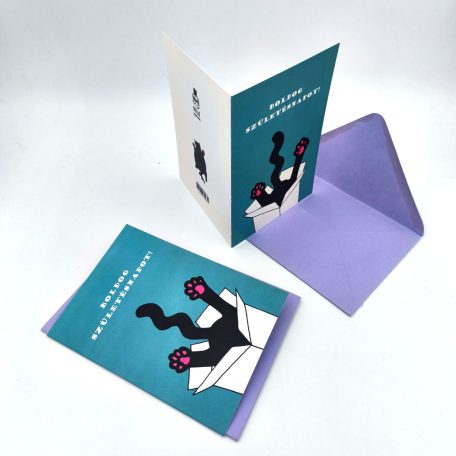 Papetri borítékos képeslap - szülinap - dobozos cica