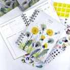 Papetri tervező - dátumozatlan - pitypang - spirálozott, keményfedeles okos naptár 