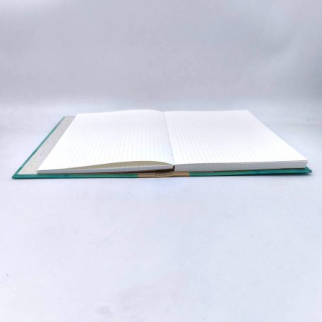 Papetri diary vitorla A5 sima vagy pontrácsos napló bullet journal