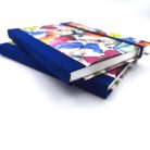 Papetri diary pillangók A5 sima vagy pontrácsos napló bullet journal