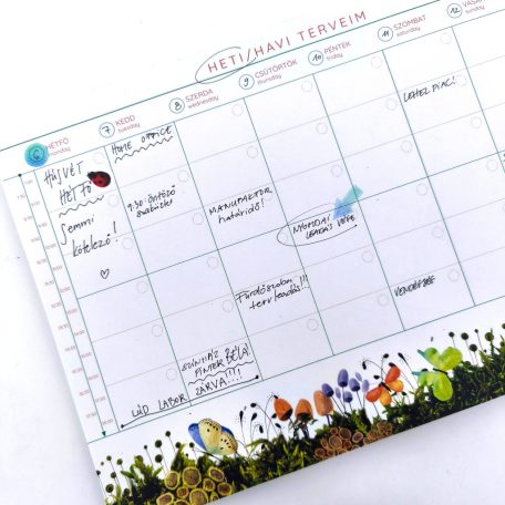 Papetri heti és havi asztali tervező illusztrált  pillangókkal virágokkal