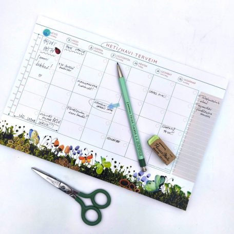 Papetri heti és havi asztali tervező illusztrált  pillangókkal virágokkal