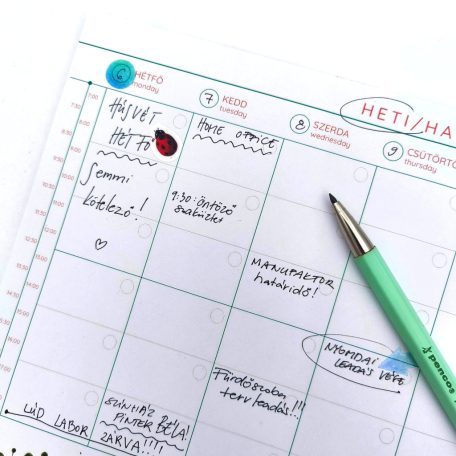 Papetri heti és havi asztali tervező illusztrált  pillangókkal virágokkal