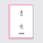 PAPETRI borítékos képeslap - bogyós gyümölcsökkel