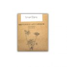 Virágos Pagony virágmag - nagyvirágú laputurbolya