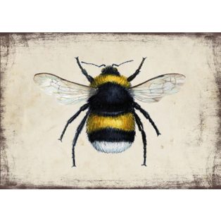 Szolnoki Ágnes képeslap poszméh