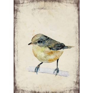 Szolnoki Ágnes képeslap csilpcsalpfüzike