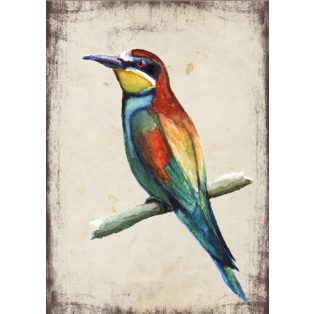 Szolnoki Ágnes képeslap gyurgyalag