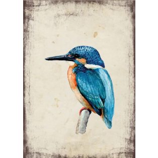 Szolnoki Ágnes képeslap jégmadár