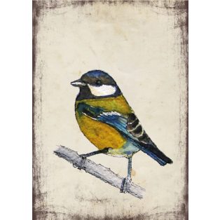 Szolnoki Ágnes képeslap széncinke