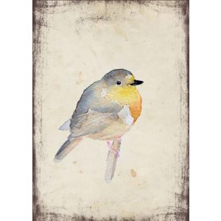 Szolnoki Ágnes képeslap vörösbegy