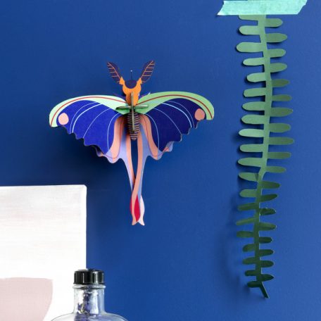 Studio Roof 3D Pop out fali dekoráció - madagaszkári holdas szövőlepke