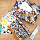 Papetri cicaverzum bullet journal csomag